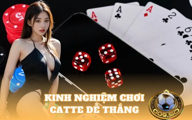 Kinh nghiệm chơi bài catte 009 hiệu quả từ chuyên gia