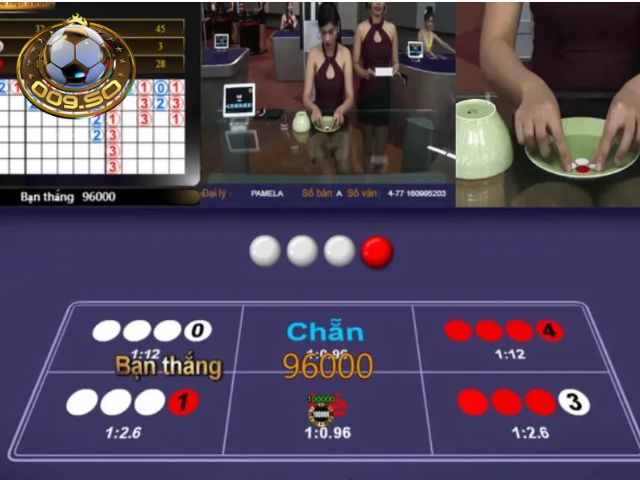Không gian cá cược Color Dish 2 009 thu hút