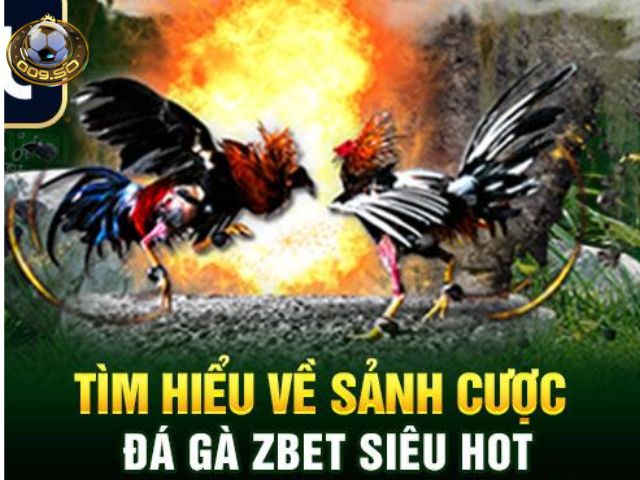 Nền tảng xem đá gà online Zbet