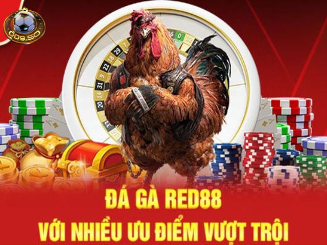 Trang xem đá gà trực tuyến Red88